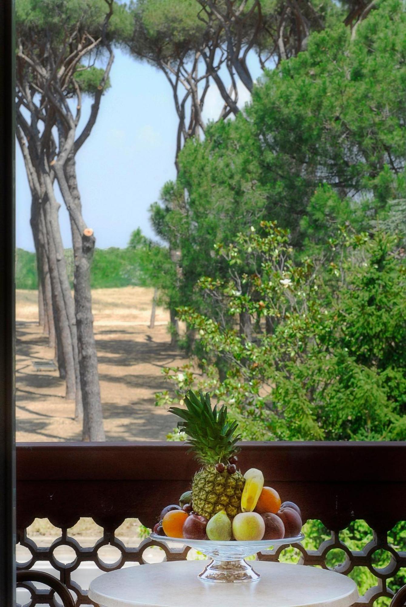 Double or Twin Room Garden View,546622584:JPEG