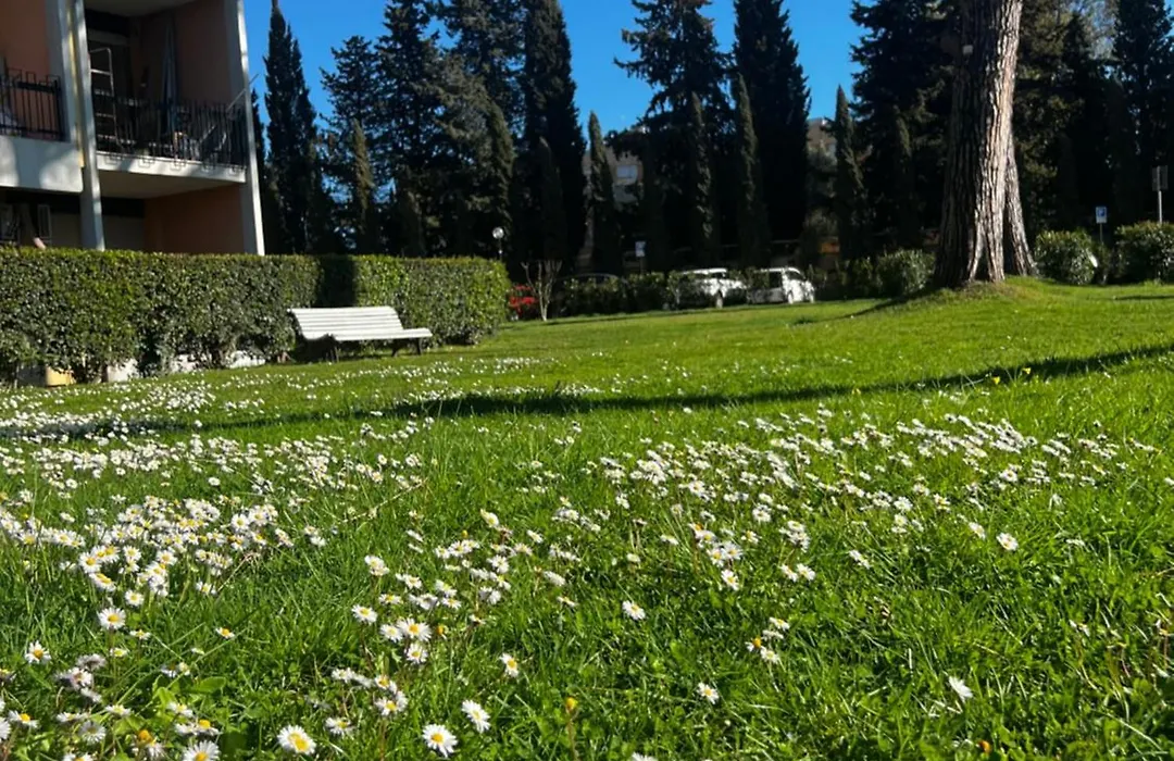 Parco Tirreno Hotel-1