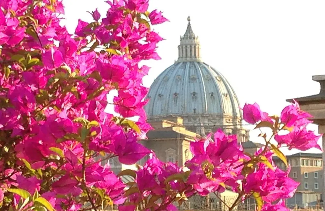 Hotel Dei Consoli Vaticano-1