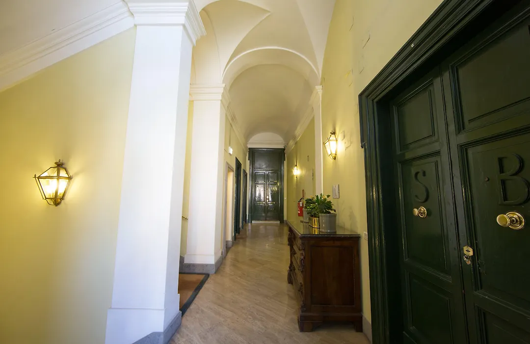 Babuino 79-1