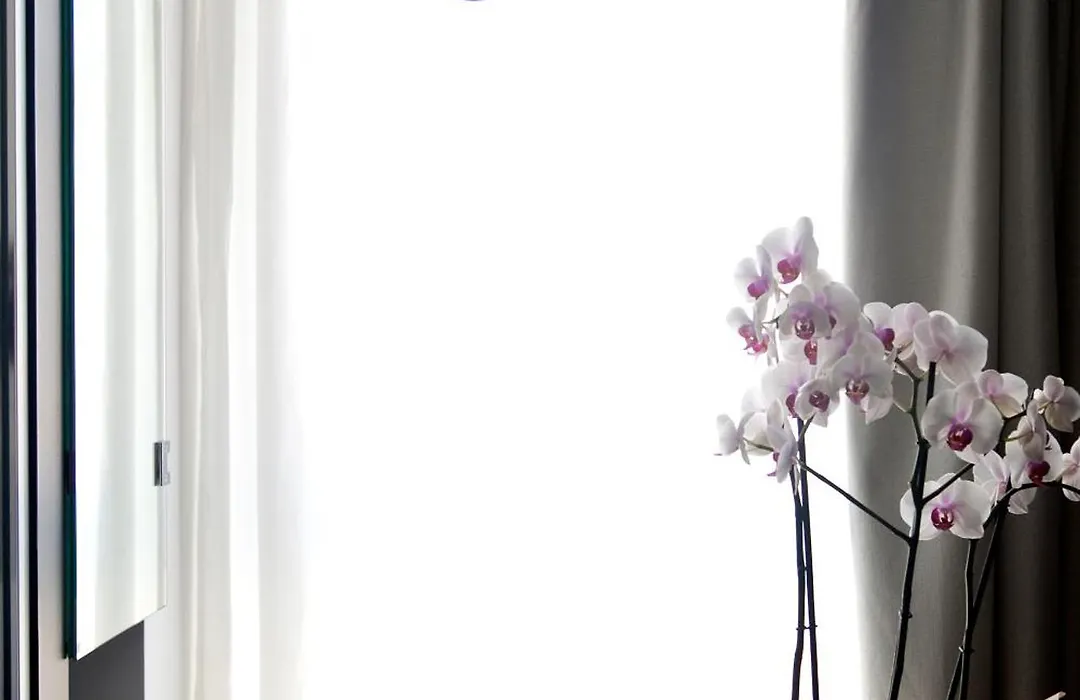 Sora Luxury Inn-1
