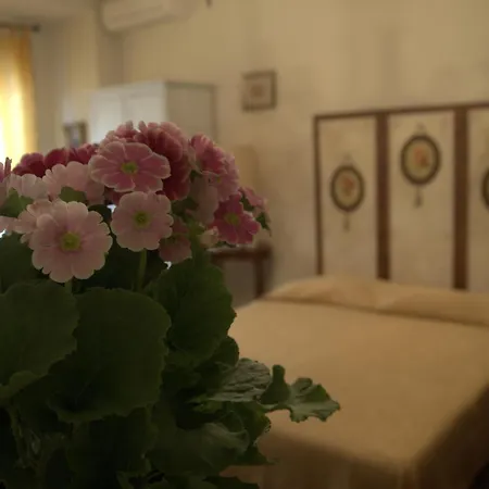 B&B All'Ombra Di San Pietro-2