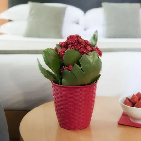 Best Western Ars Hotel-3