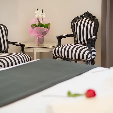 Ara Suite-3