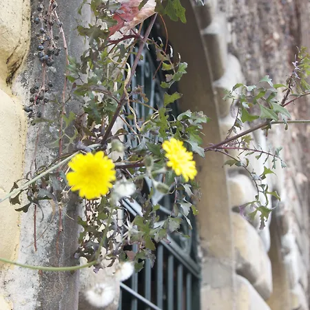 Fori Romani B&B-2