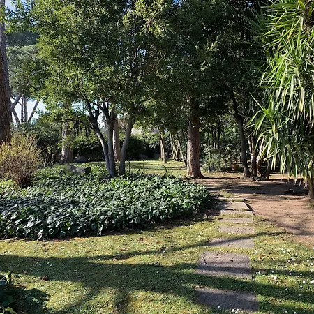 Villa Albina-3