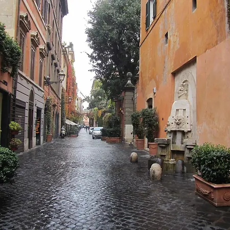 Margutta'S Garden-3