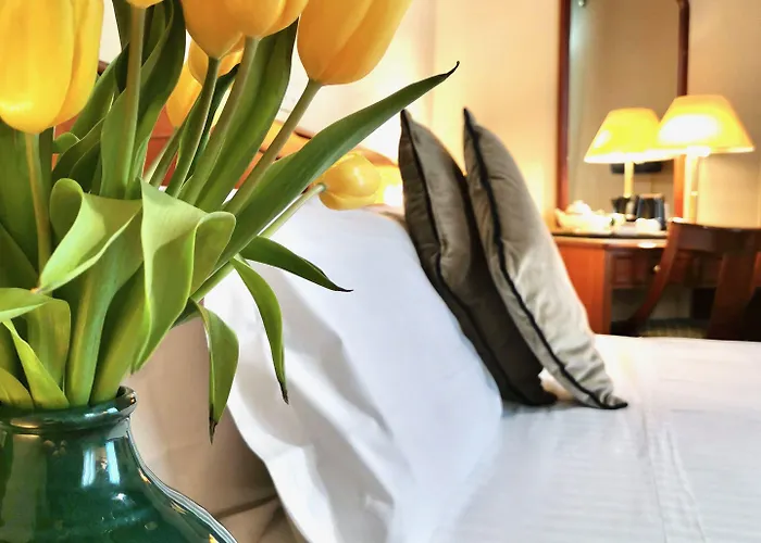 Hotel Teatro Di Pompeo Rome